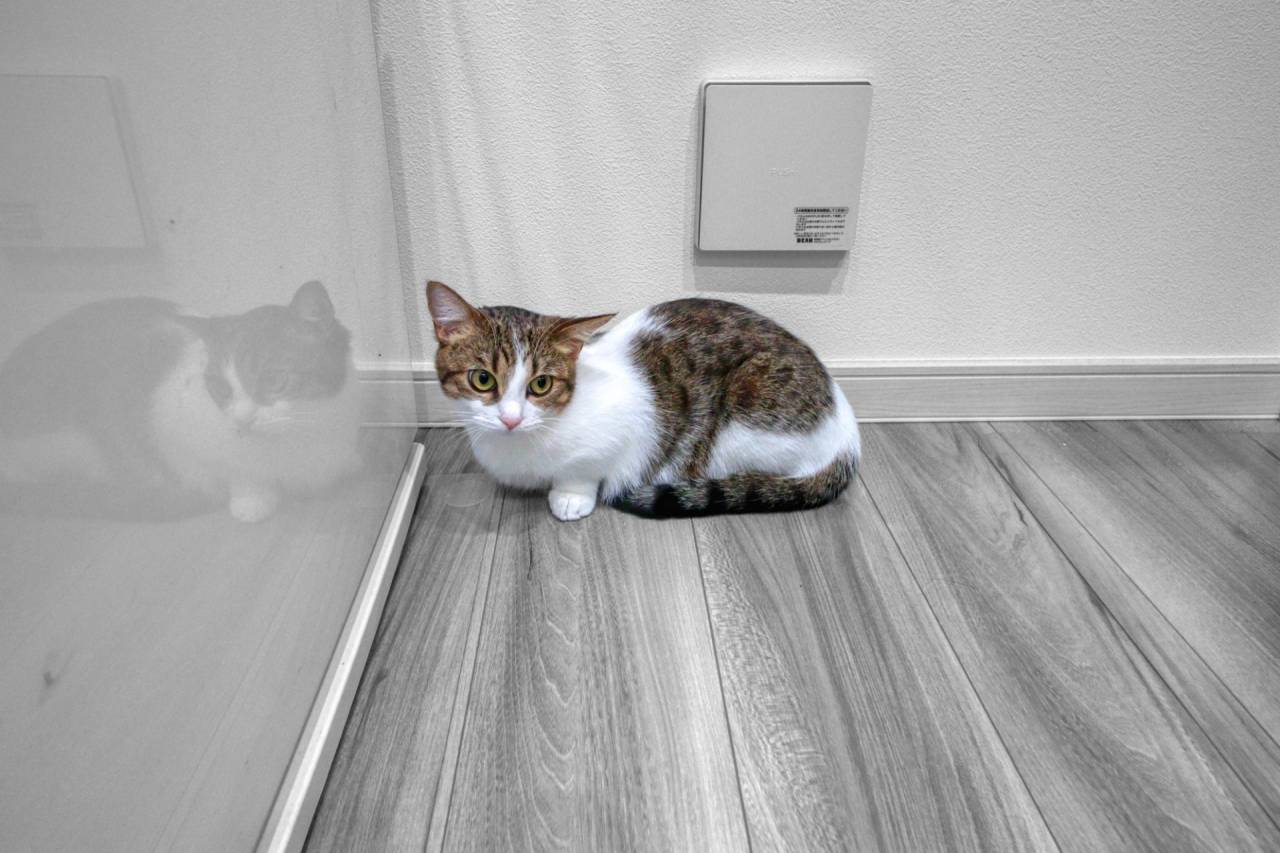 横浜市旭区　新築戸建てご成約　K様